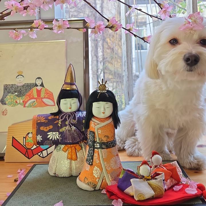 D396c889 4f98 4b93 9b15 d8d40299f177 1772562904836