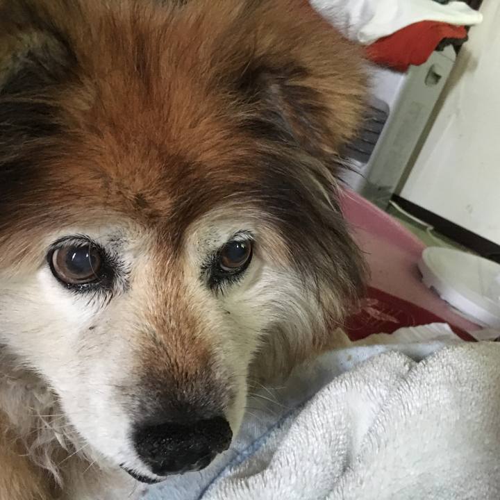 D396ea3e 6917 4479 b63f 48ce35f16785 1602427258360