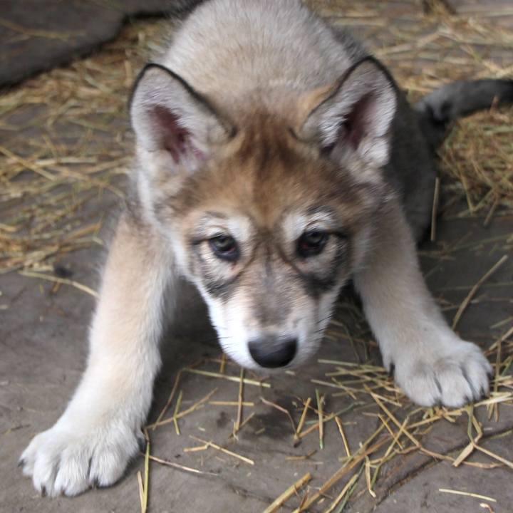 D396fe84 c004 413d bc89 bec1bf8274ff 1579822024594