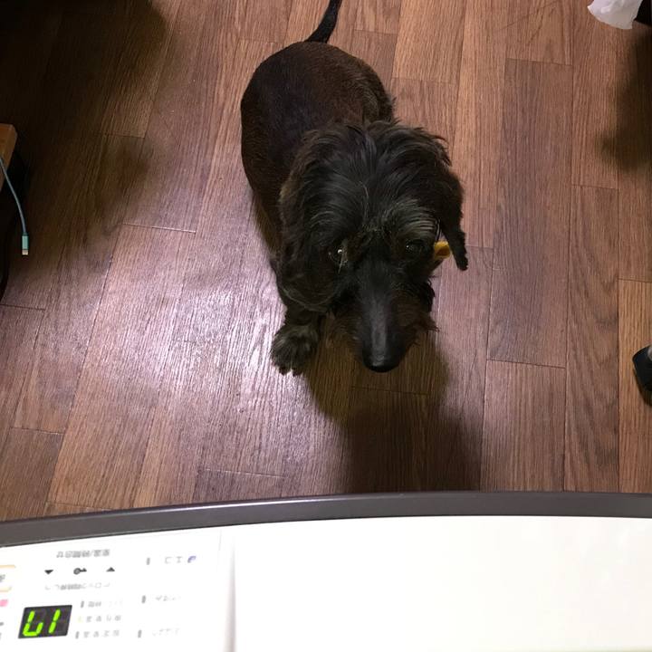 D3970728 199c 43fd 9f2d 6e7a514217a4 1543030796872