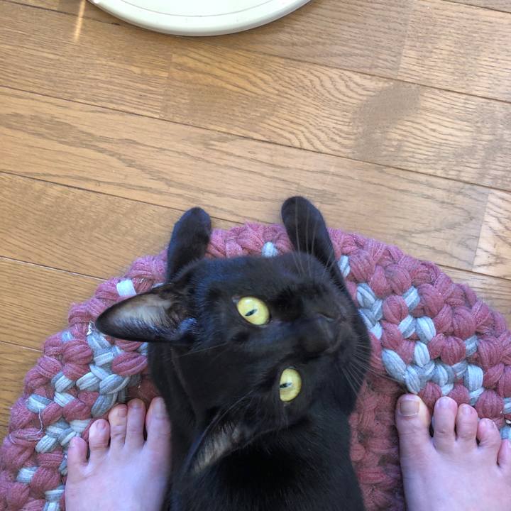 D3974352 d8ae 49b3 bb09 9528c4be1338 1693613662990