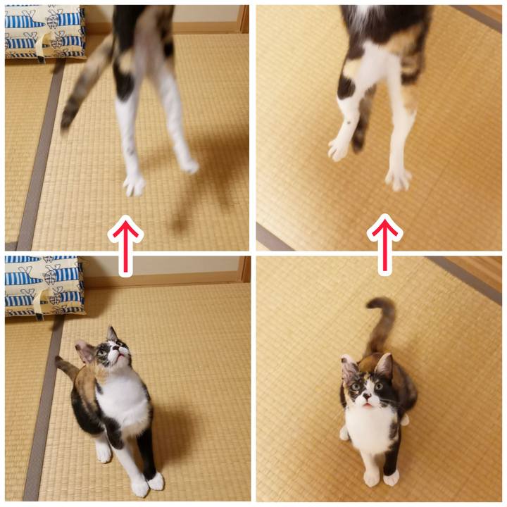 D3975bda cfa1 4797 859d 7dd8123a47c7 1600935293433