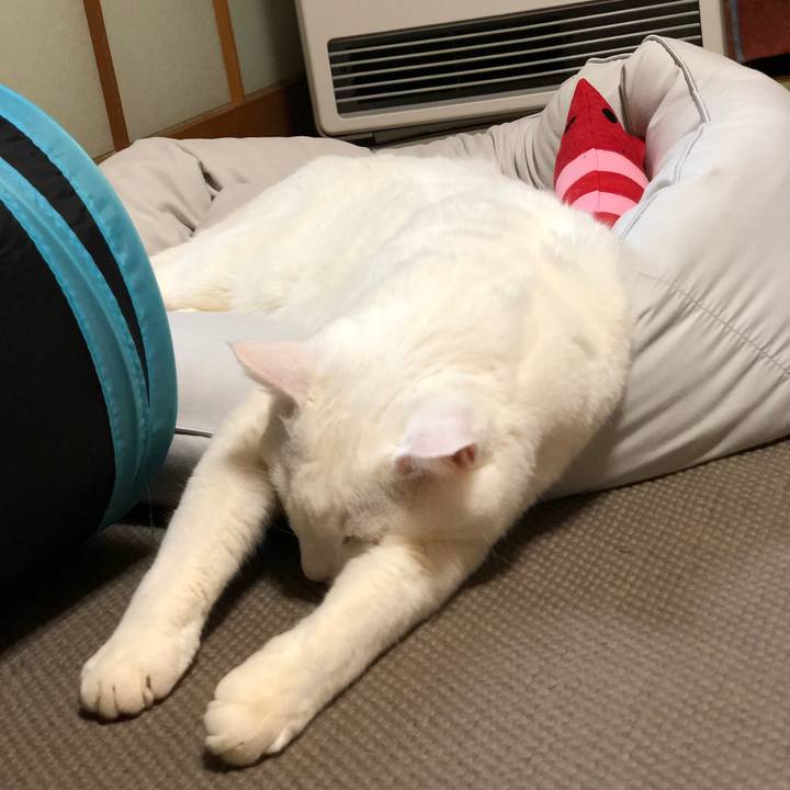 D39762c2 6446 4dee 8541 250054d0ed4e 1641386495451