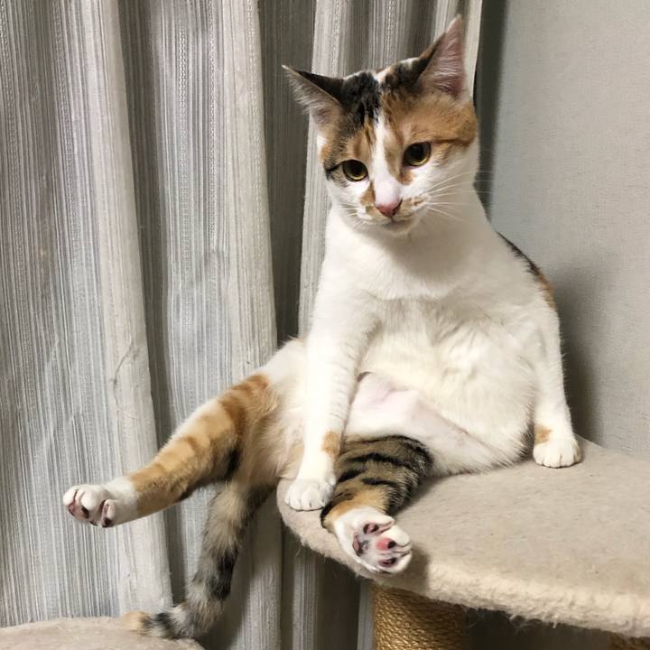 D39765da 8ff3 4c77 9359 607fa6aae024 1585143633572