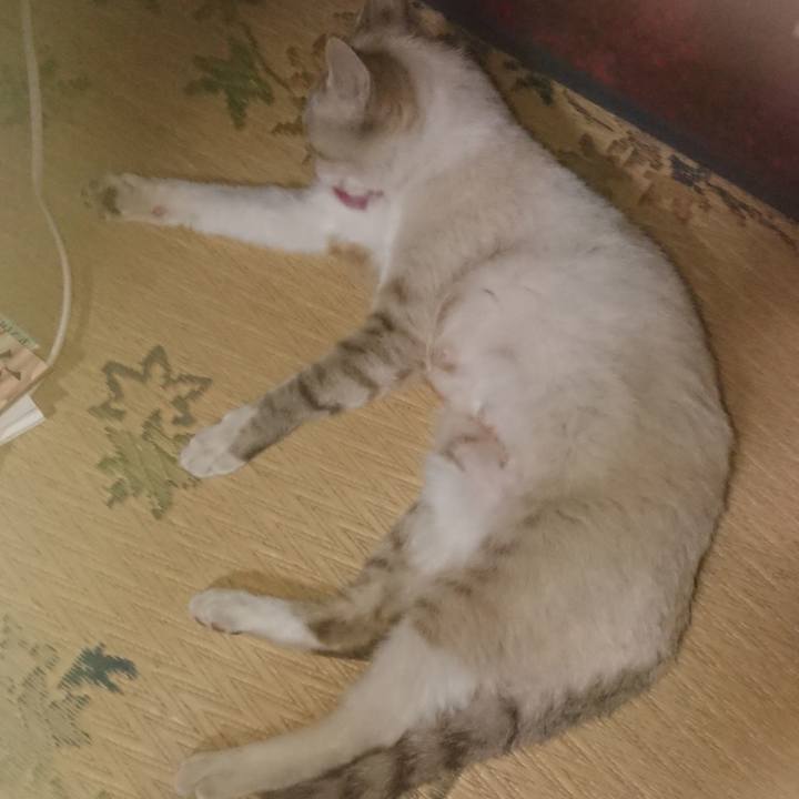 D3977315 a94e 4162 a2bb 2c08188ca303 1526478035783