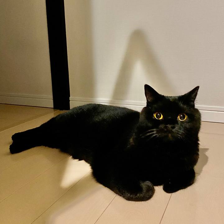 D3977a65 5dba 4307 b536 fb71a22248e8 1598275052352