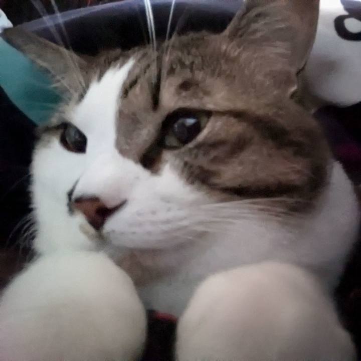 D39785ed d1cc 4327 8fbe 8c465fcb353c 1733630628082