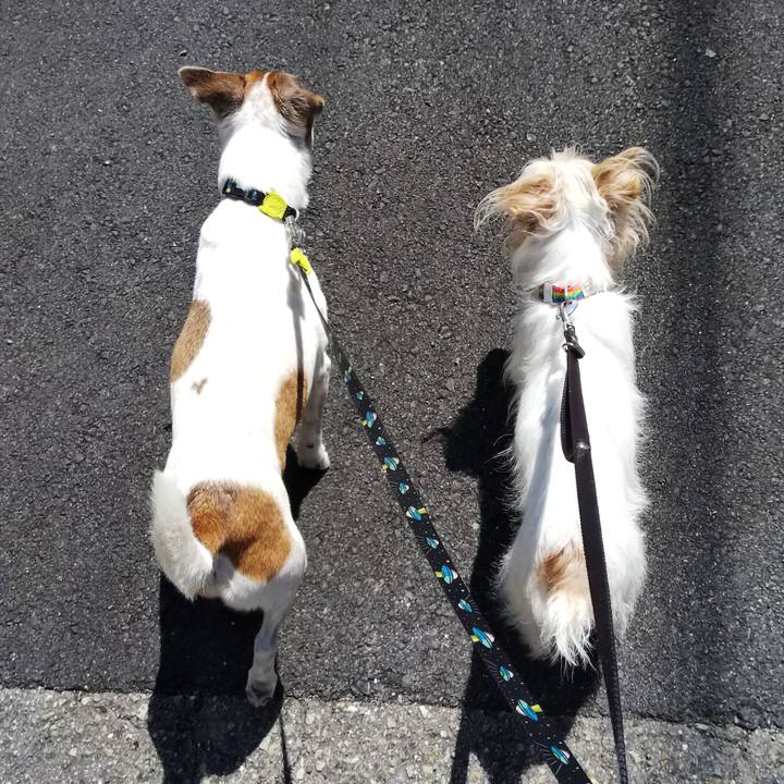 D397adeb 70b4 4ef4 b06e 8532a9c94ff5 1527944103987