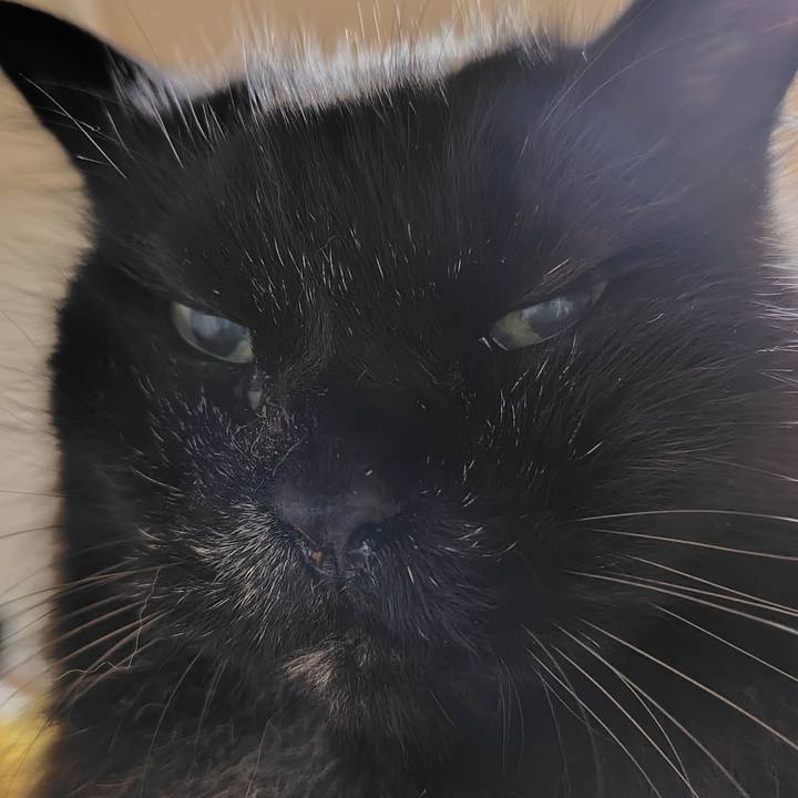 D397b383 8977 4e1a 8add ef9168d048d9 1751031932460