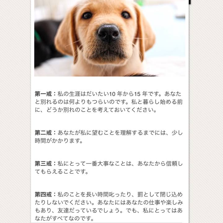 D397b7fd 9def 4a64 9004 de680061ec82 1517809574533