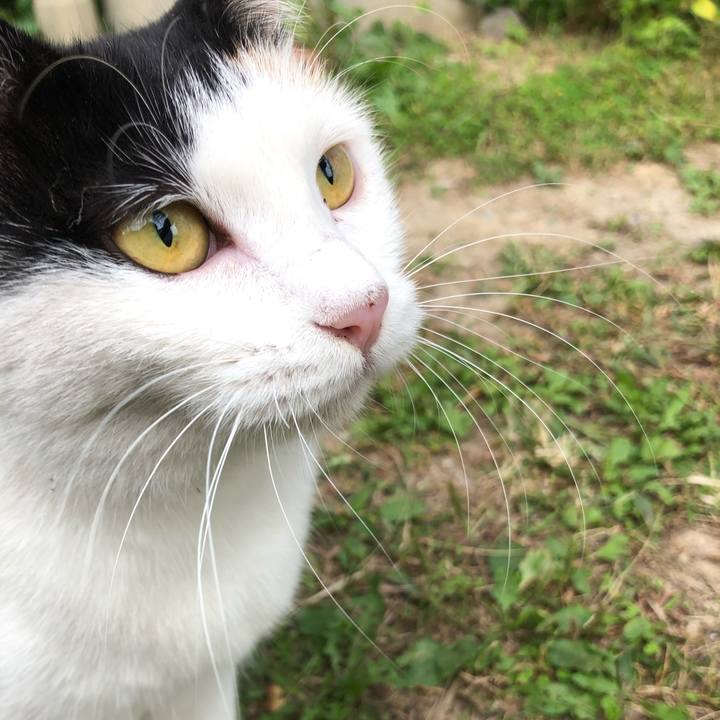 D398205a 3db9 4beb 891e ff31fc5b7751 1602258766717