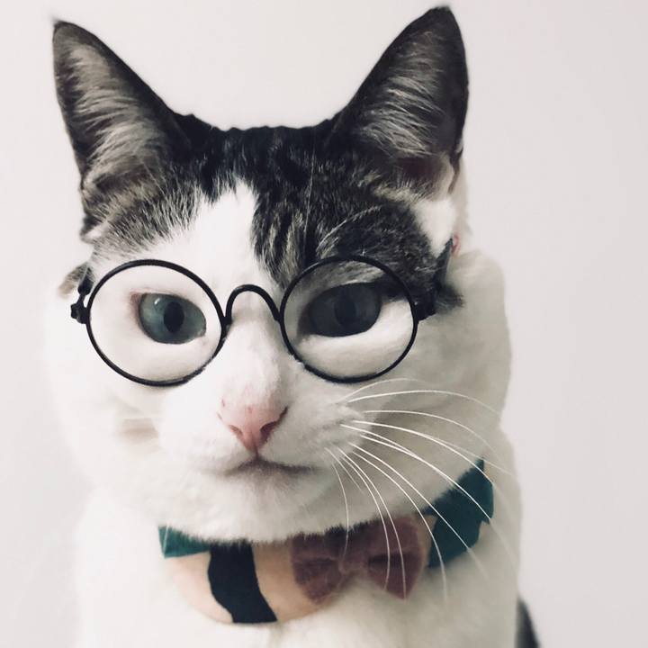 D39837e4 4dd0 4aff 83c3 5dd250acc3c7 1531572167528