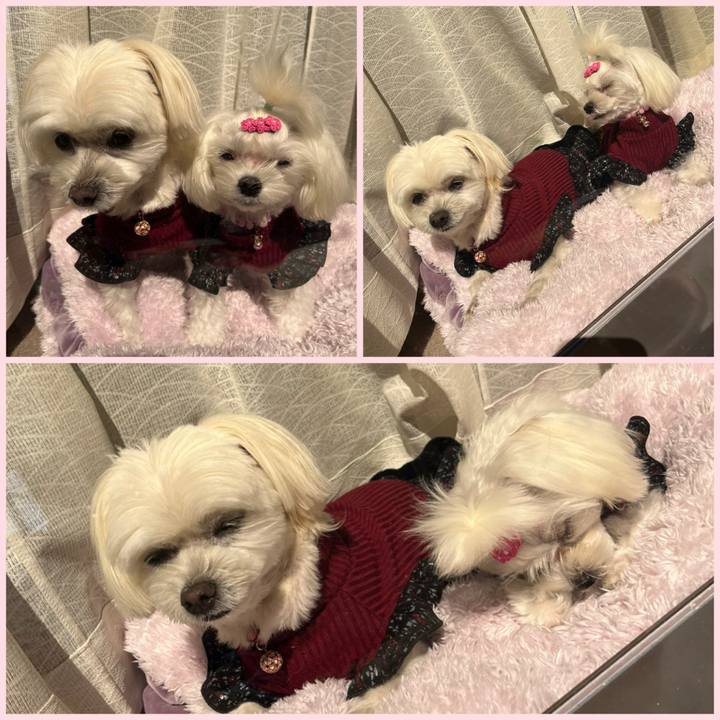 D3985f5f 4bef 41c3 987c a0a55bf8be4a 1731122389928