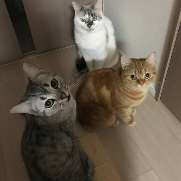 D398b5ed 70d1 4b4a a0cd 628fa7d57782 1510049475987