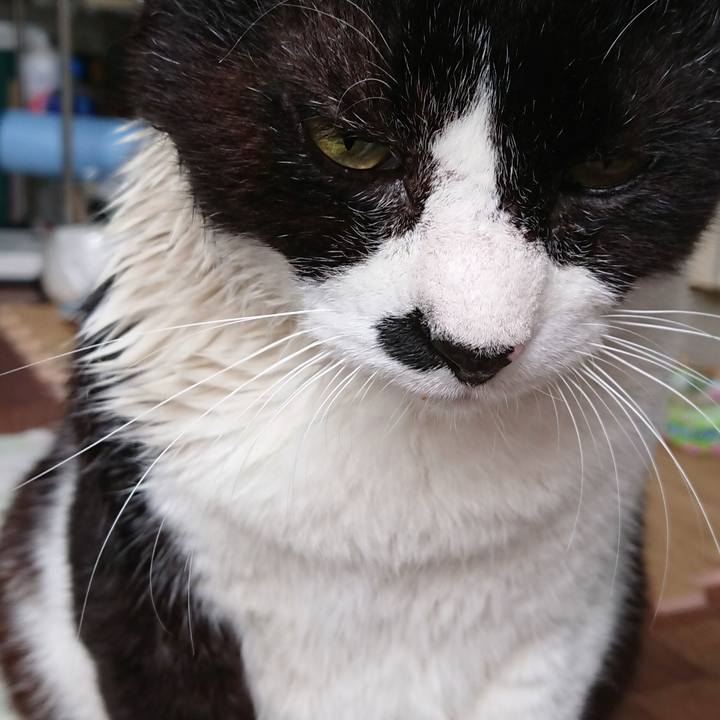 D398c99f 7551 40ca ac9d 625ac84976de 1559961142066