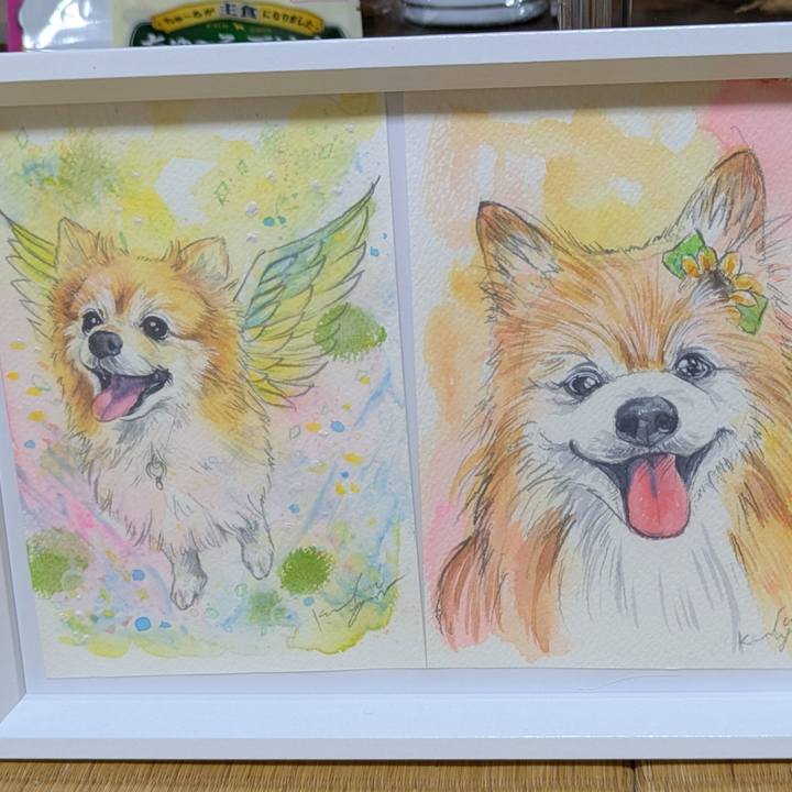 D3995299 7831 477f b20b 7c201f168810 1746865072708