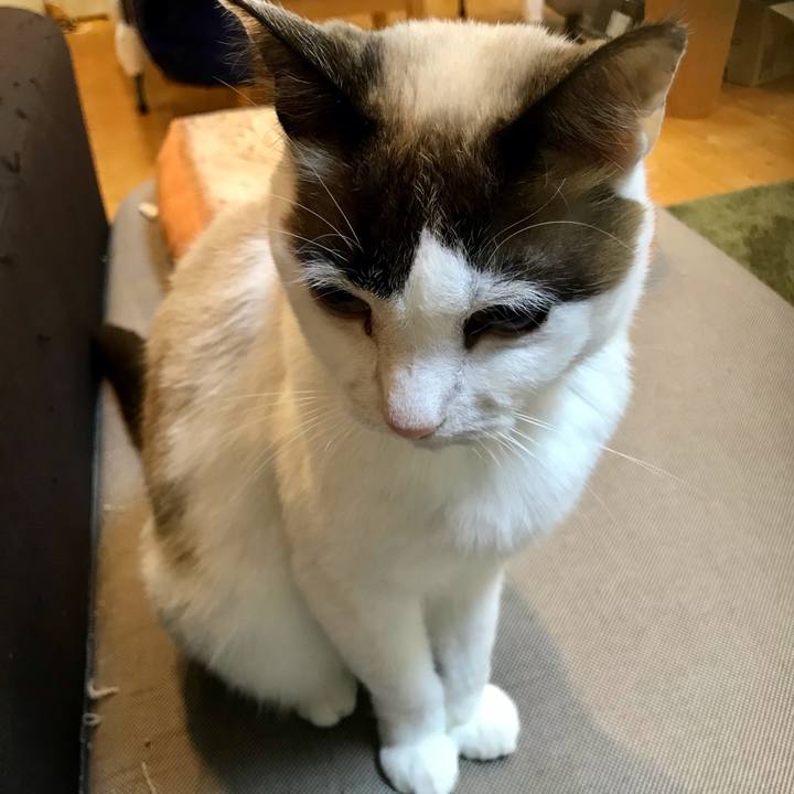 D3995e1b 4588 4cce 969e 0ddf7f8033a3 1613022913390