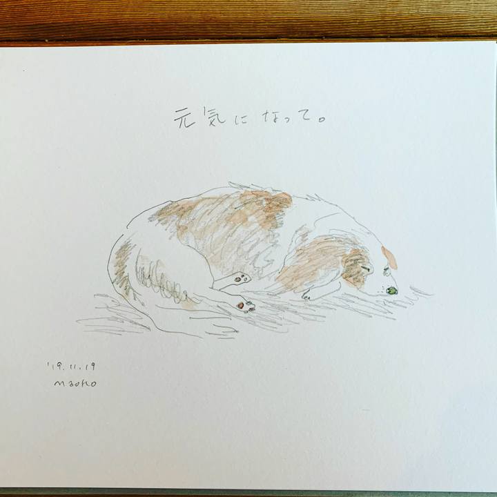 D3997b5a 858f 4779 bc03 072cde627ca2 1574117721842