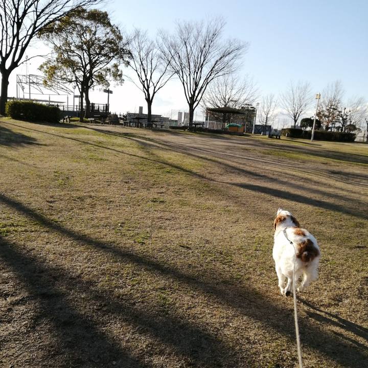 D3997f55 f9d2 4108 b590 5d6d1bd471b5 1581939072510