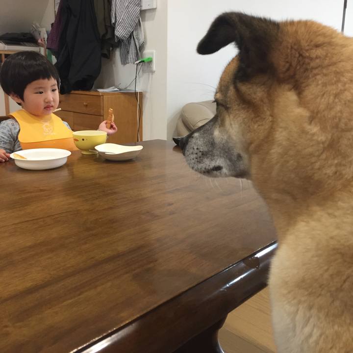 D39992d7 5a44 4da5 a57c 820db9969042 1528328152903