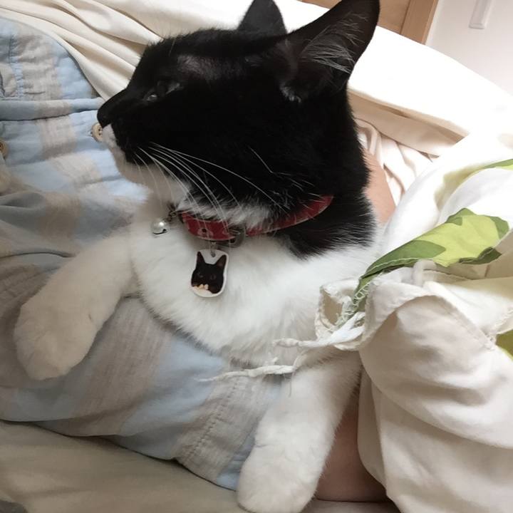 D39994a5 d4df 41d1 b003 33a7ded483a8 1533163255331