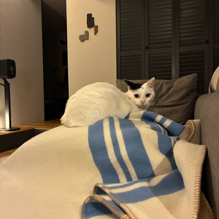 D399dfcc 9f2f 43b2 beab e4abc6decafc 1763027982053