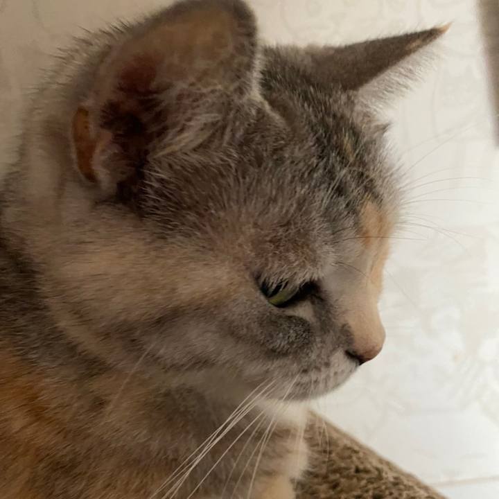 D399f0d0 8b8b 40ba 9e1d 33bdeea71637 1634523082919