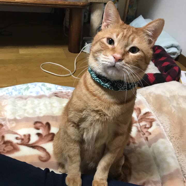 D39a0514 b3cc 4494 845e 0a3230e4aea5 1551348480710