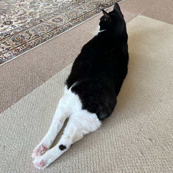 D39a06c9 9980 4e64 8adc 82a81691b181 1772768655153