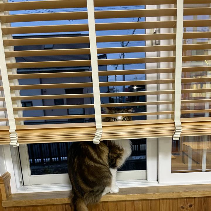 D39a49e7 3c20 458a 91da dfa3d659670b 1669672361757