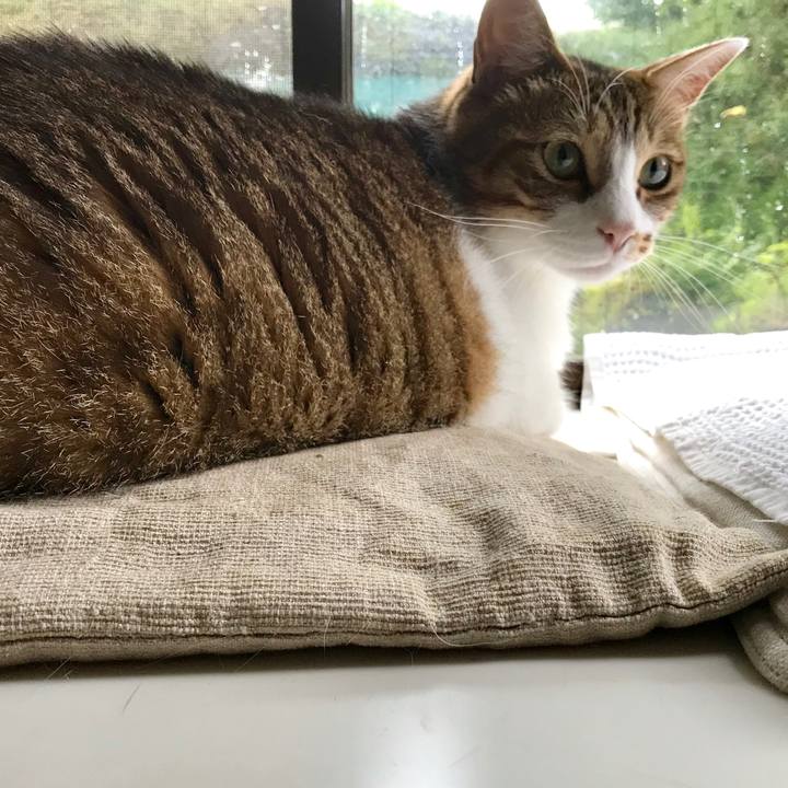 D39a6748 c72c 4201 afca 3d4bf7dfe29a 1530858659620