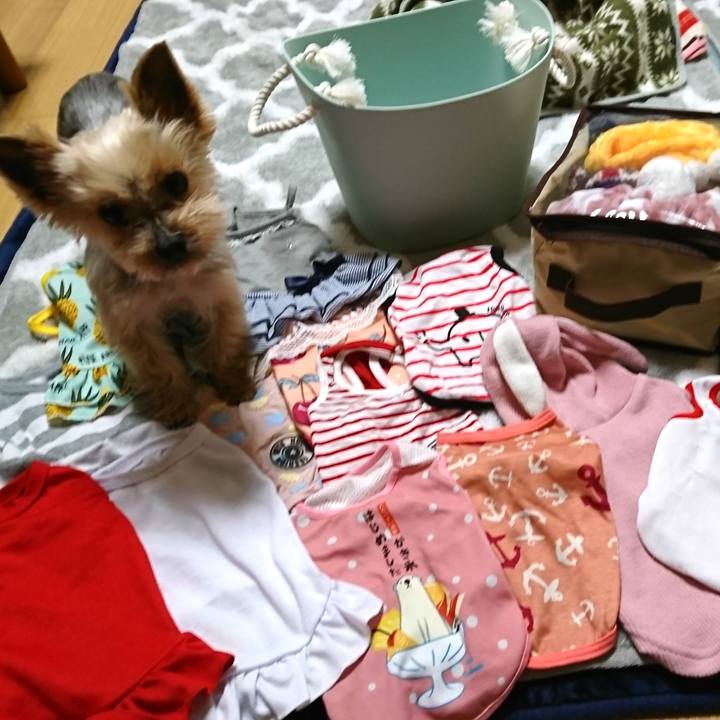 D39a6fa7 d19e 4800 b9a2 4a8884f324fe 1553594415265