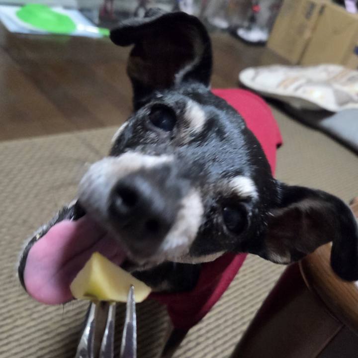 D39a81d5 a533 47d1 b270 577f2d6ac442 1760613919986