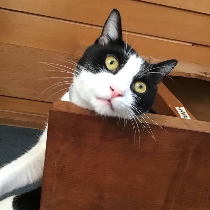 D39a81fc b8b9 4c74 98cc 7ad1afcebc87 1662459949799