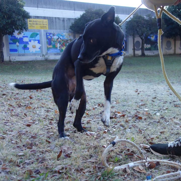 D39aa8f2 f0b7 4c67 b9b9 54733fcdf56b 1638232945212