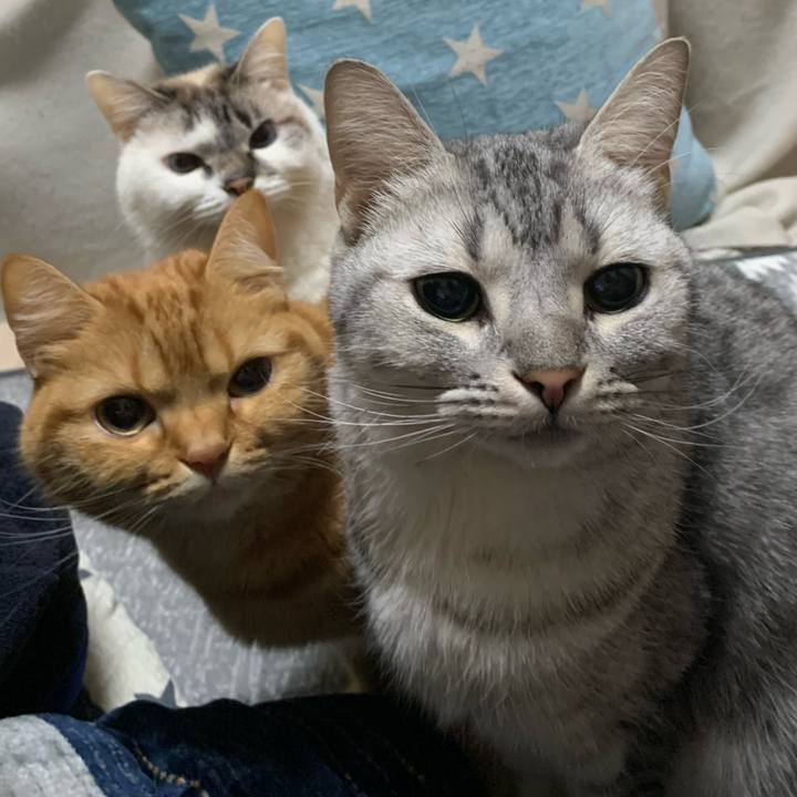 D39ac7eb dcca 4354 80d8 f4b78c06d0d3 1577790985427