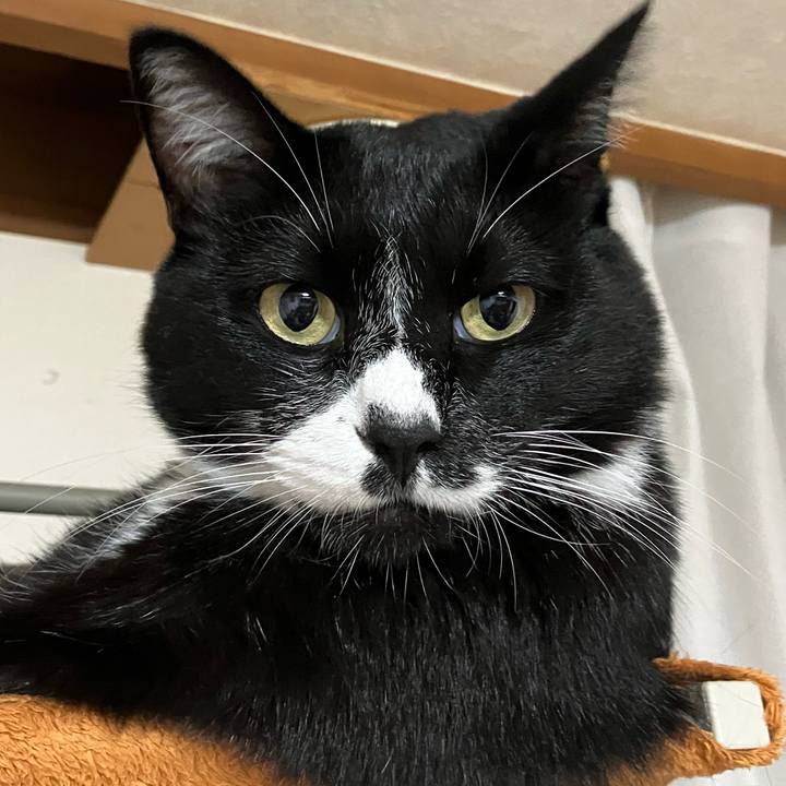 D39b23f2 4e60 4289 8245 b93f87b4a80e 1729658556706