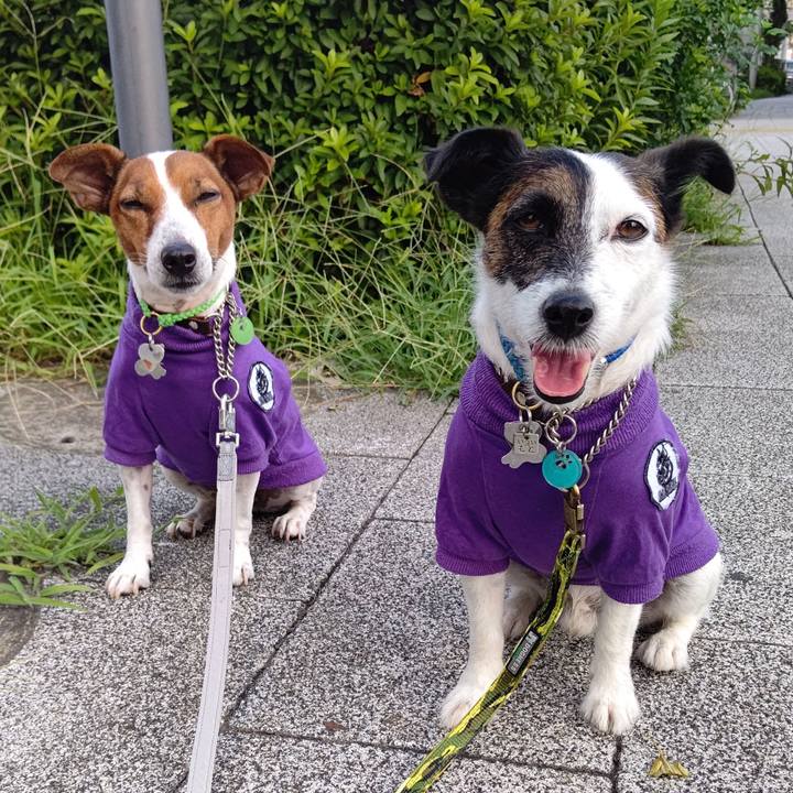 D39b5f31 3766 43f7 8e03 b5718ceb2b59 1659908284868