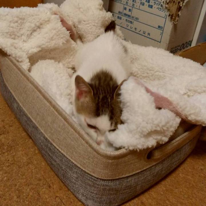 D39bd290 473e 4f8f b99e d3450d6d0359 1635643492021