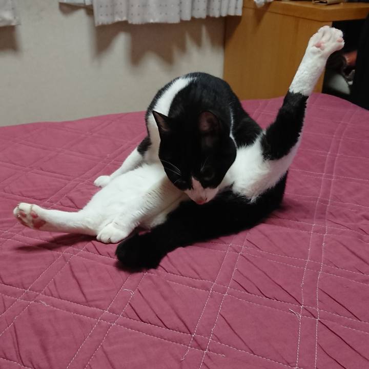 D39bd65d 9ca1 4329 9b03 29d323b4935b 1636159919842