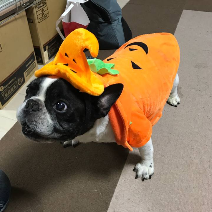 D39bf4b3 32a1 48c6 8f28 297be759da01 1509257176766