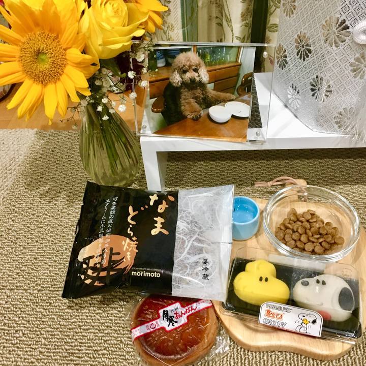 D39c5418 f747 4436 abbc b31c23dccb75 1533478238009