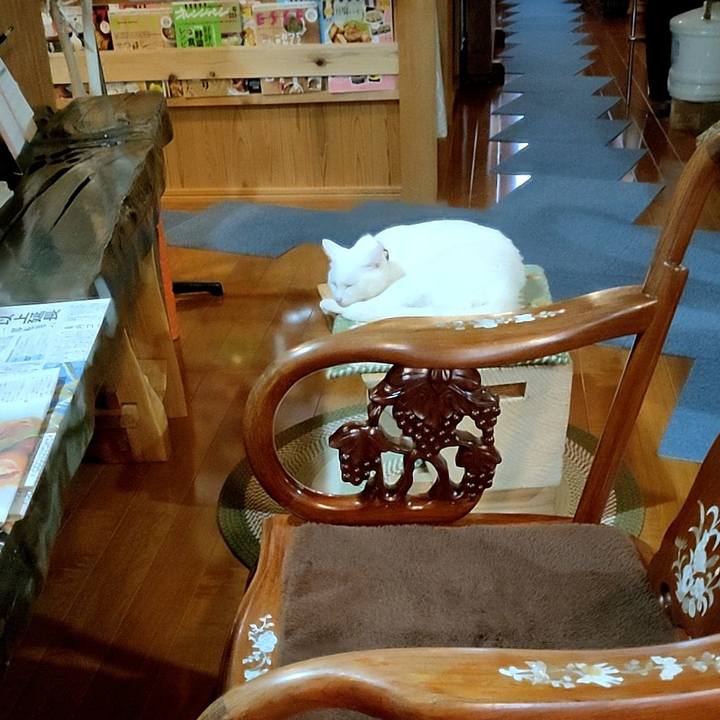 D39c68ec 02ac 4359 a33b a72eb996b14d 1671027919144