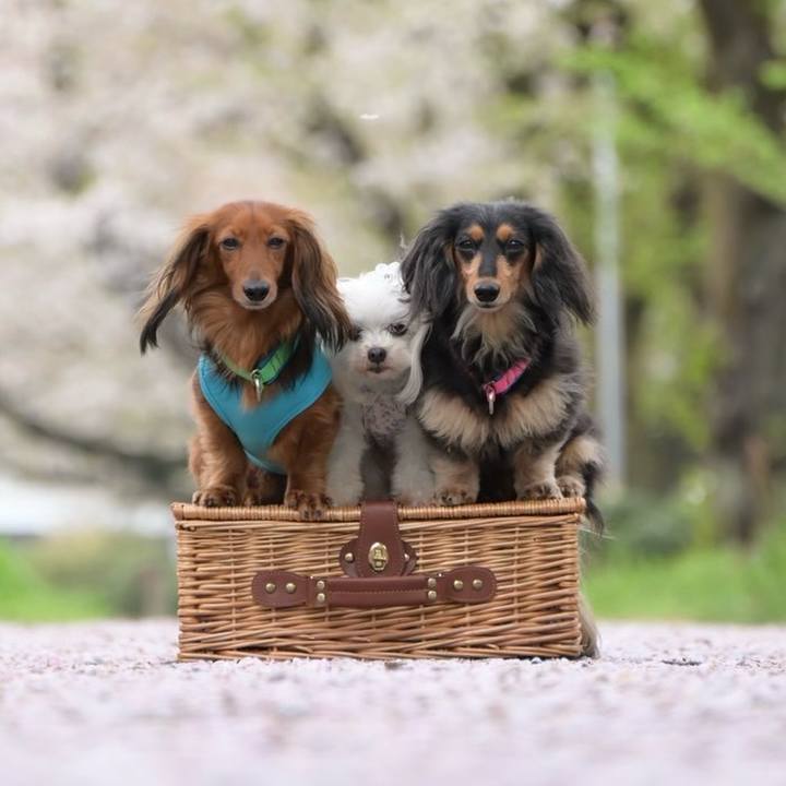 D39c747d 8c19 4340 96f0 af4a1b2a32f0 1758849254986