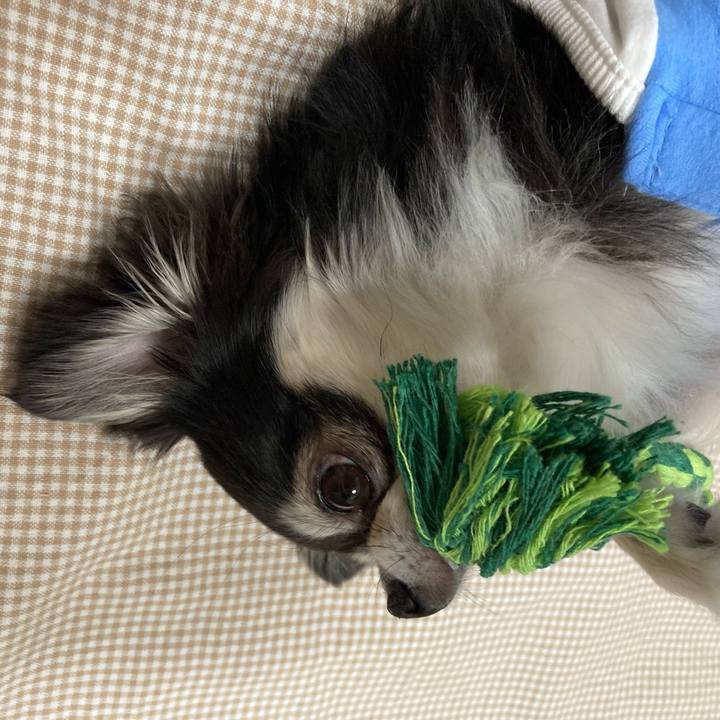 D39c7763 def7 4784 acca a6668300f8d3 1648390956883