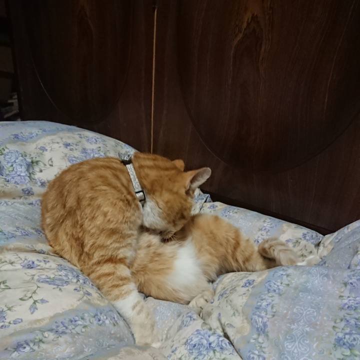 D39cacc9 8dff 4f14 8441 d109d5172edd 1588852675470