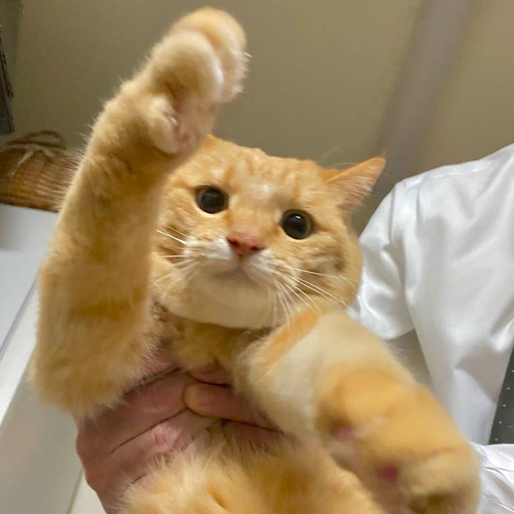 D39cb298 1ab3 4121 8436 c1ff384e92cc 1706742002475