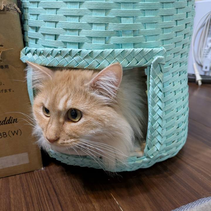 D39cec55 c3a5 4248 94bf a59d92c31e77 1745069017982