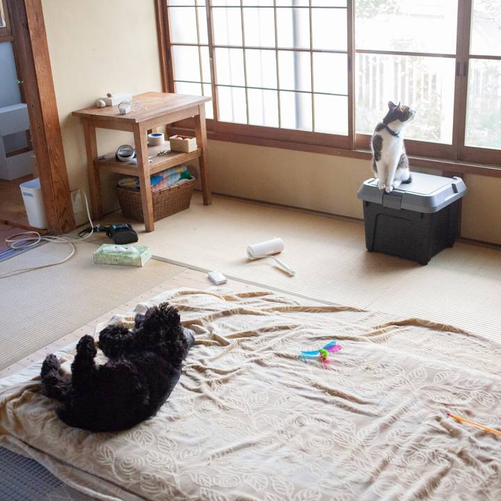 D39cf492 41f5 4861 8f16 895cbb3e3f5e 1572487069771