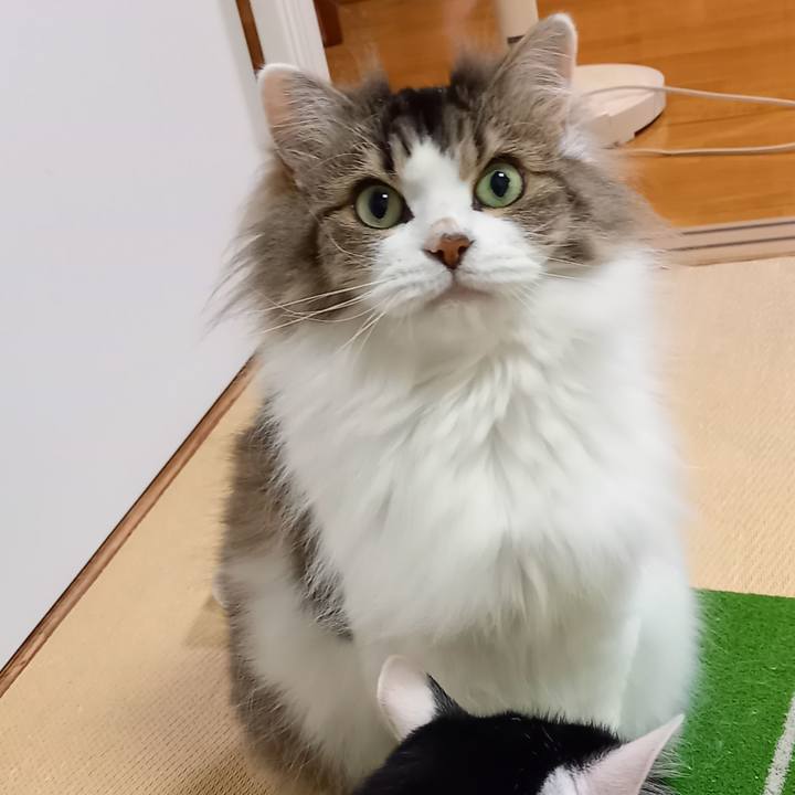 D39d052b eb07 4c06 9072 c25d22dea3e1 1624619973049